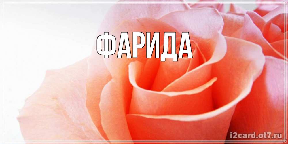 Открытка на каждый день с именем, Фарида Главная розы для поздравления с днем рождения Прикольная открытка с пожеланием онлайн скачать бесплатно 