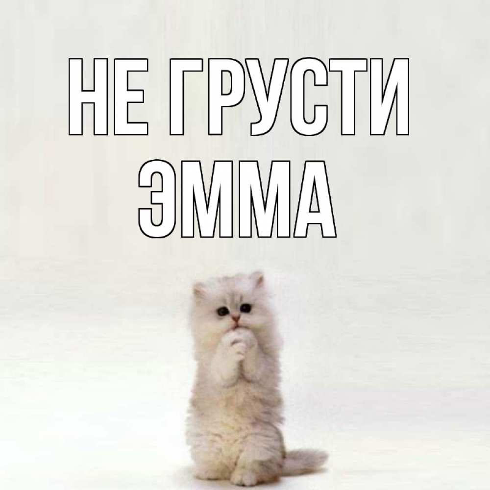 Открытка на каждый день с именем, Эмма Не грусти грустный кот Прикольная открытка с пожеланием онлайн скачать бесплатно 