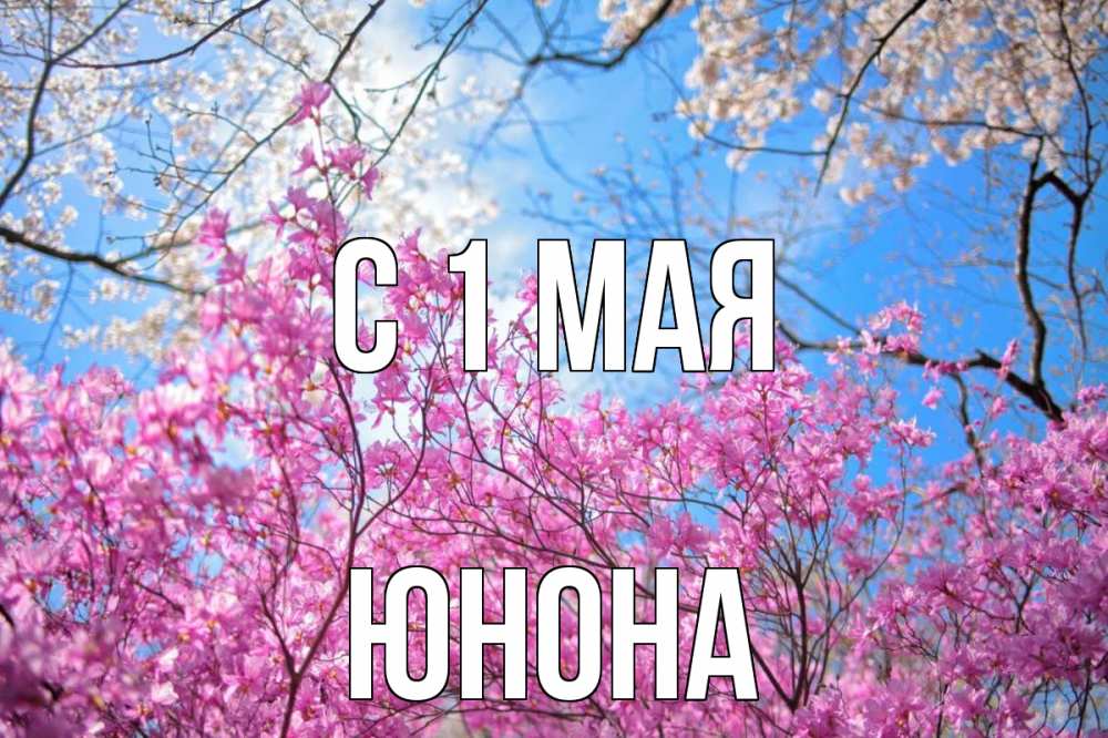 Открытка на каждый день с именем, Юнона С 1 мая С 1 мая Прикольная открытка с пожеланием онлайн скачать бесплатно 