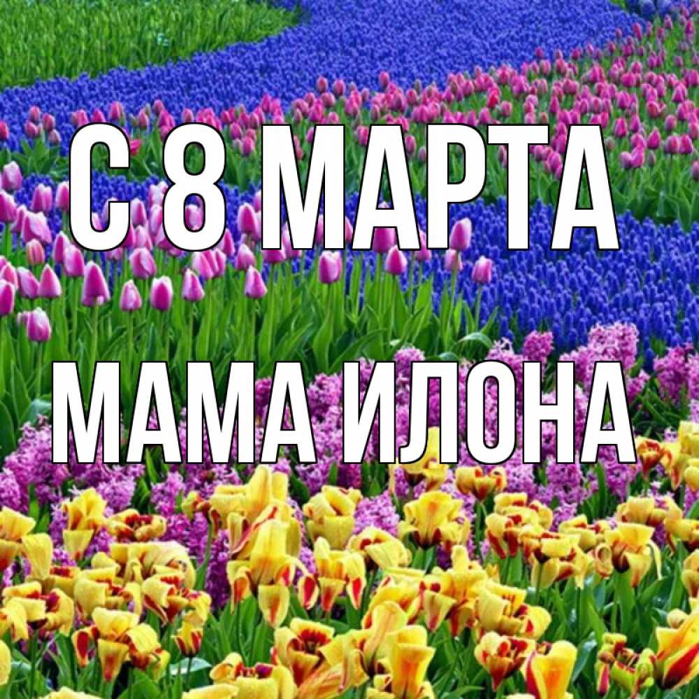 Открытка на каждый день с именем, Мама-Илона С 8 марта цветы Прикольная открытка с пожеланием онлайн скачать бесплатно 