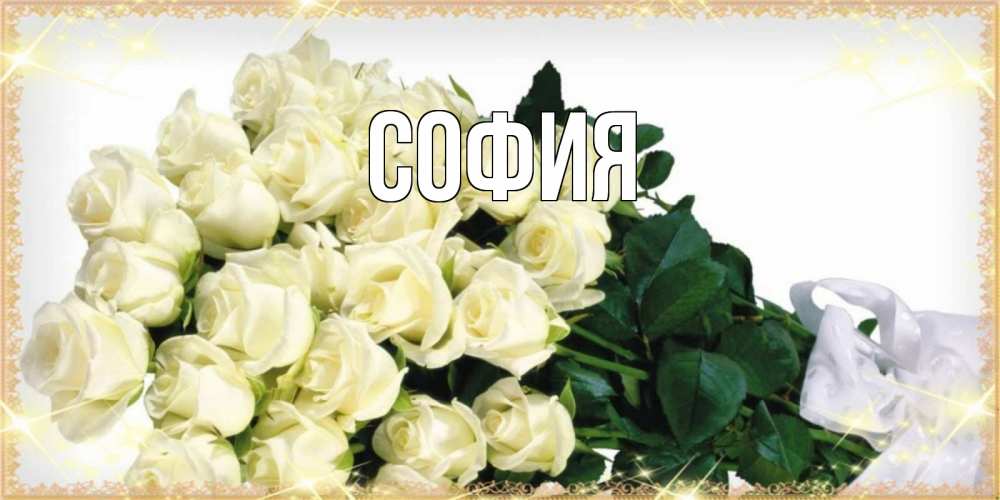 Открытка на каждый день с именем, София Главная букет с розами желтокремового цвета для любимой на международный женский день Прикольная открытка с пожеланием онлайн скачать бесплатно 