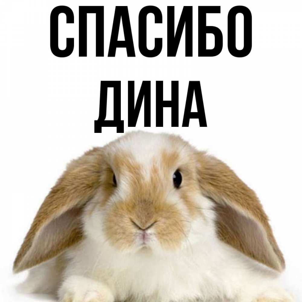 Спасибо дай бог вам здоровья. Спасибо давай 1. День спасибо презентация. Спасибо давай 1. Картинка благодарим за участие.