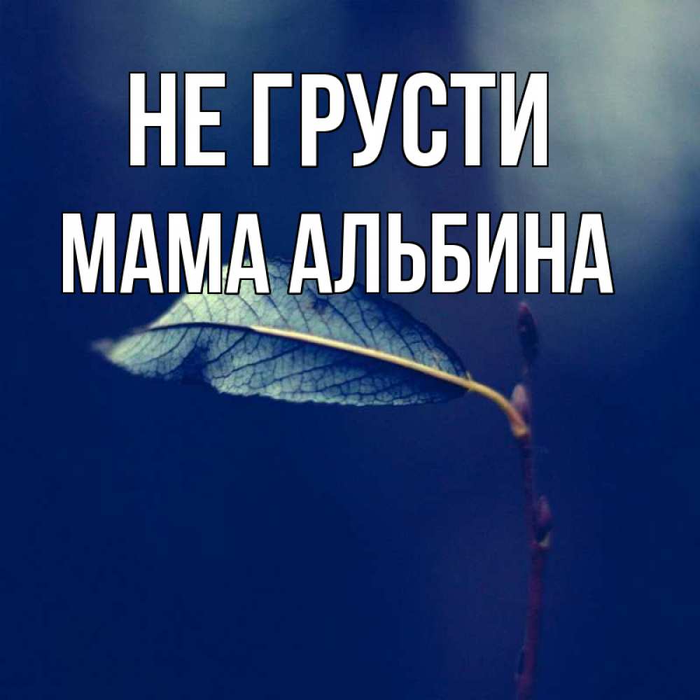 Открытка на каждый день с именем, Мама-Альбина Не грусти растение Прикольная открытка с пожеланием онлайн скачать бесплатно 