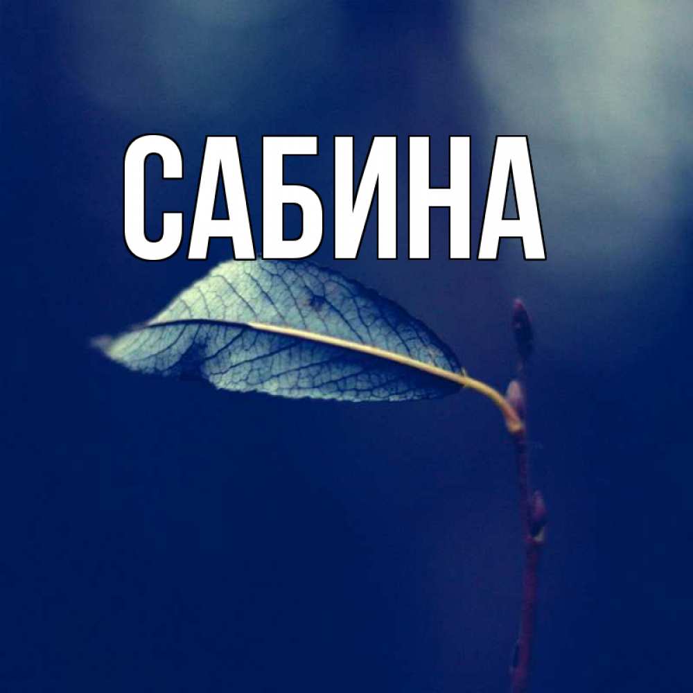 Картинка  с именем , Сабина