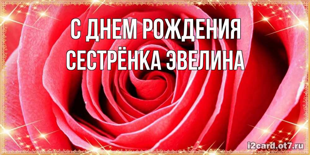 Открытка на каждый день с именем, Сестрёнка-Эвелина С днем рождения розовая роза очень крупный бутон Прикольная открытка с пожеланием онлайн скачать бесплатно 