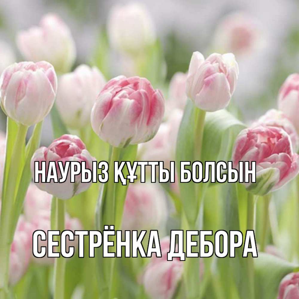 Открытка на каждый день с именем, Сестрёнка-Дебора Наурыз құтты болсын цветы Прикольная открытка с пожеланием онлайн скачать бесплатно 