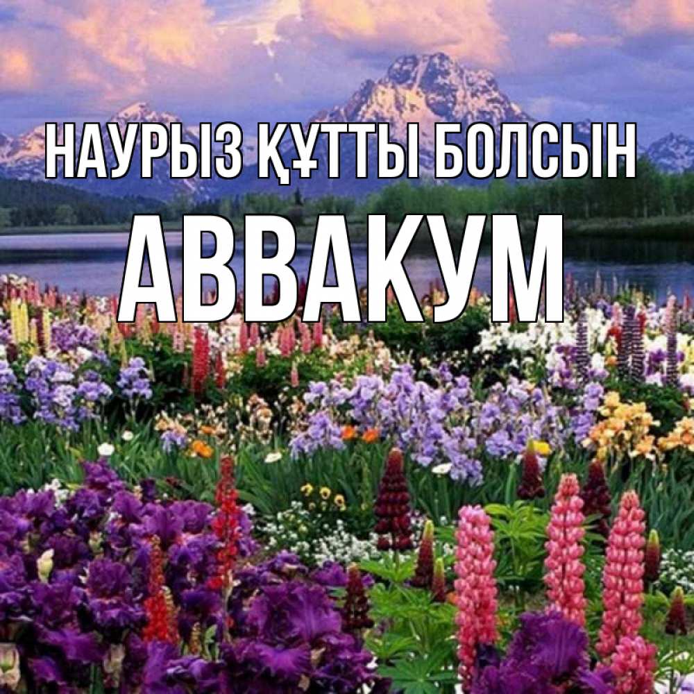 Открытка на каждый день с именем, Аввакум Наурыз құтты болсын наурыз Прикольная открытка с пожеланием онлайн скачать бесплатно 