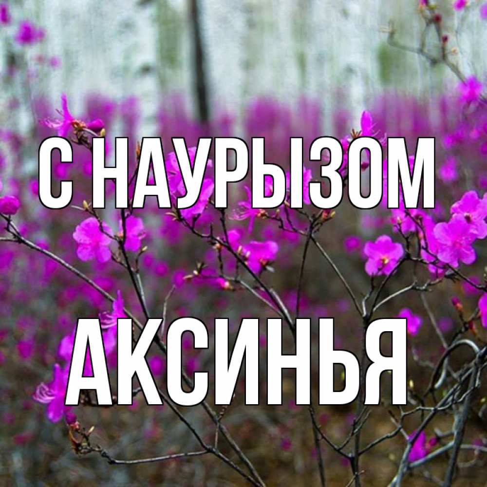 Открытка на каждый день с именем, Аксинья С наурызом дикие цветы Прикольная открытка с пожеланием онлайн скачать бесплатно 