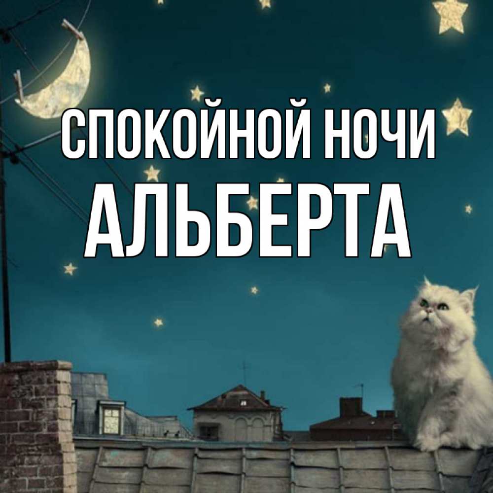 Открытка на каждый день с именем, Альберта Спокойной ночи белый кот сидит на крыше Прикольная открытка с пожеланием онлайн скачать бесплатно 