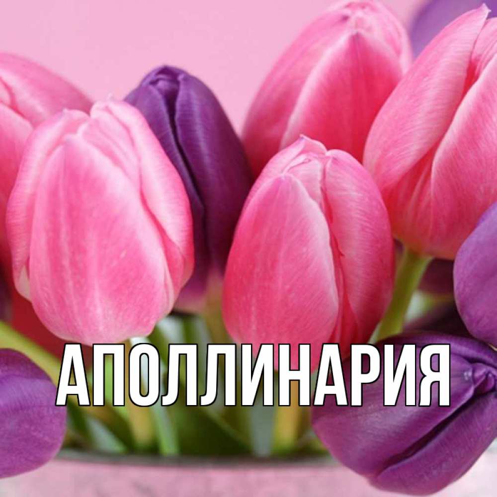 Открытка на каждый день с именем, Аполлинария Главная маме 1 Прикольная открытка с пожеланием онлайн скачать бесплатно 