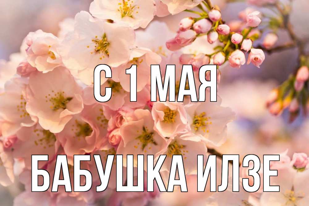 Открытка на каждый день с именем, Бабушка-Илзе С 1 мая С 1 мая Прикольная открытка с пожеланием онлайн скачать бесплатно 