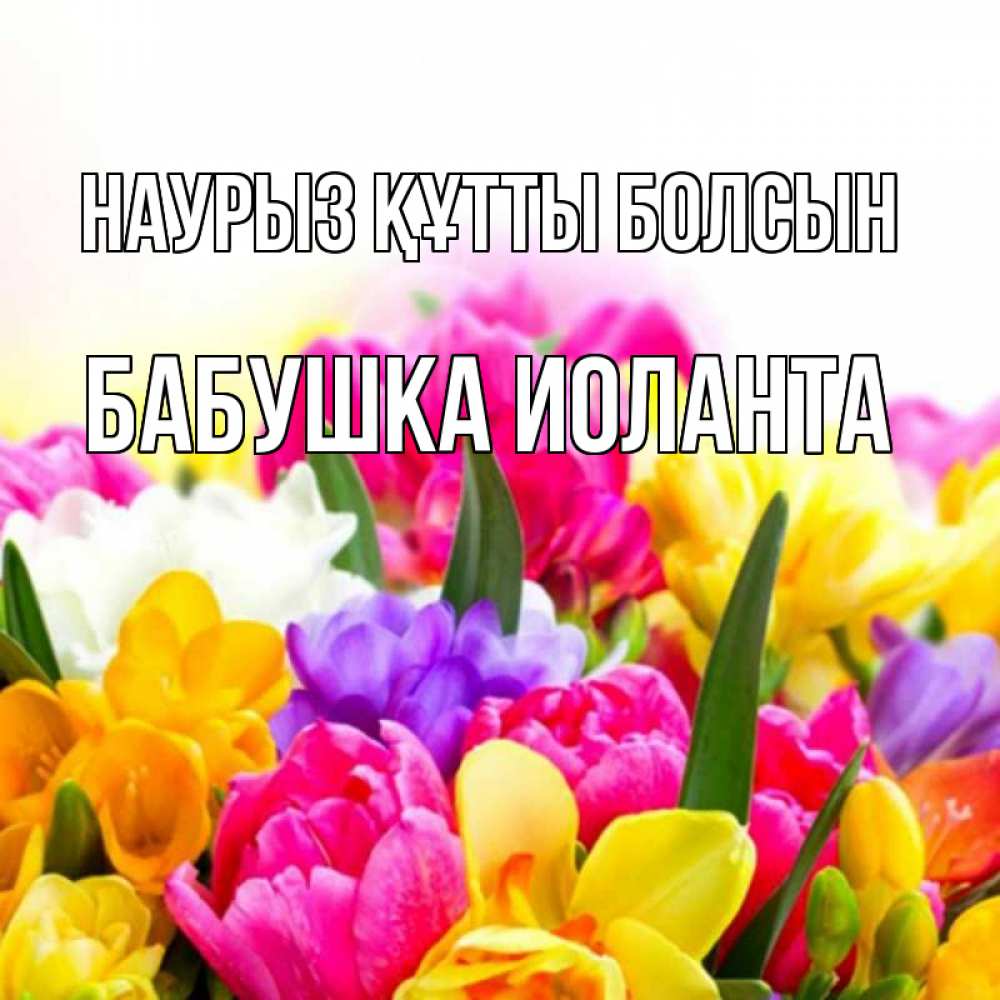 Открытка на каждый день с именем, Бабушка-Иоланта Наурыз құтты болсын тюльпаны Прикольная открытка с пожеланием онлайн скачать бесплатно 