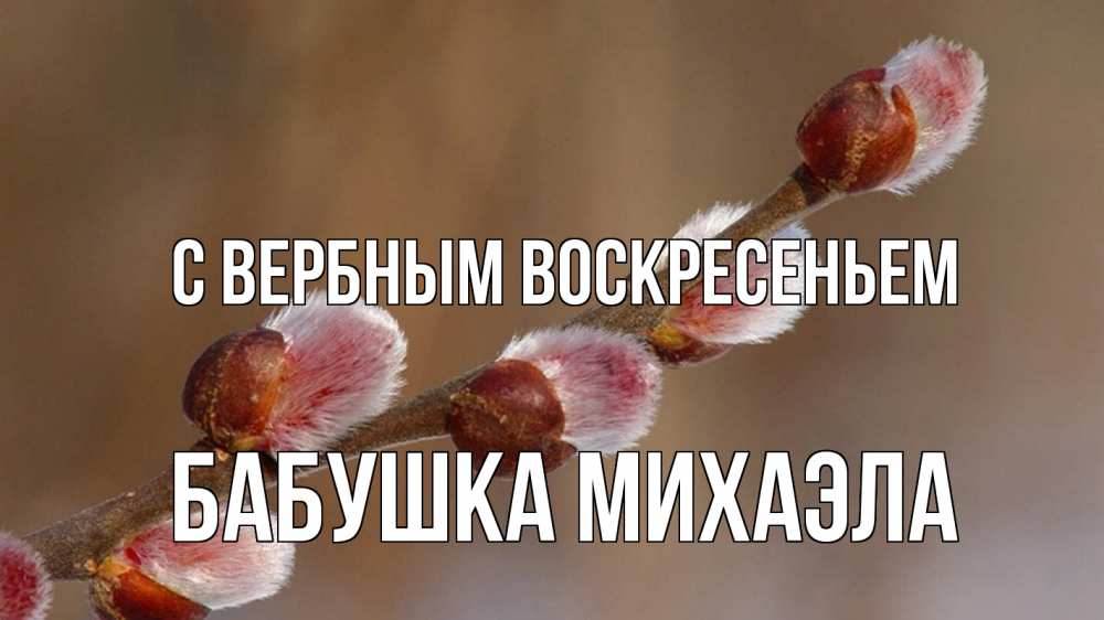 Открытка на каждый день с именем, Бабушка-Михаэла С вербным воскресеньем верба Прикольная открытка с пожеланием онлайн скачать бесплатно 