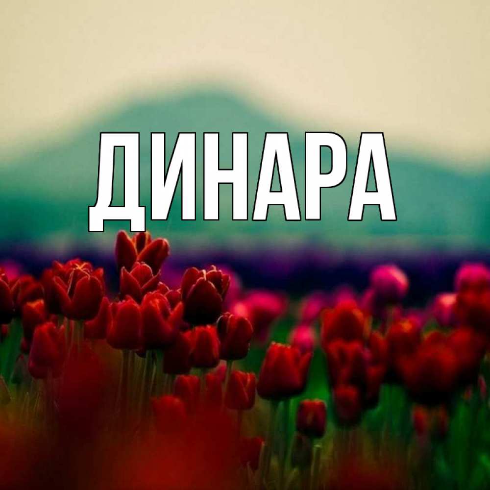 Открытка на каждый день с именем, Динара Главная тюльпаны 4 Прикольная открытка с пожеланием онлайн скачать бесплатно 