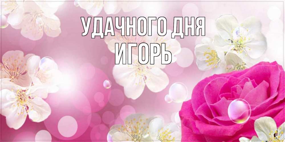 Открытка на каждый день с именем, Игорь Удачного дня красивые цветы Прикольная открытка с пожеланием онлайн скачать бесплатно 