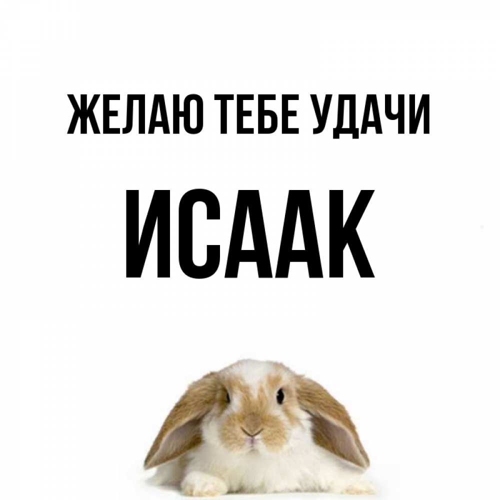 Открытка на каждый день с именем, Исаак Желаю тебе удачи открытки с произвольным текстом который можно вставить в открытку и создать ее самостоятельно бесплатно онлайн Прикольная открытка с пожеланием онлайн скачать бесплатно 
