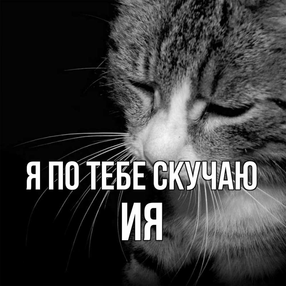 Открытка на каждый день с именем, Ия Я по тебе скучаю мне скучно Прикольная открытка с пожеланием онлайн скачать бесплатно 