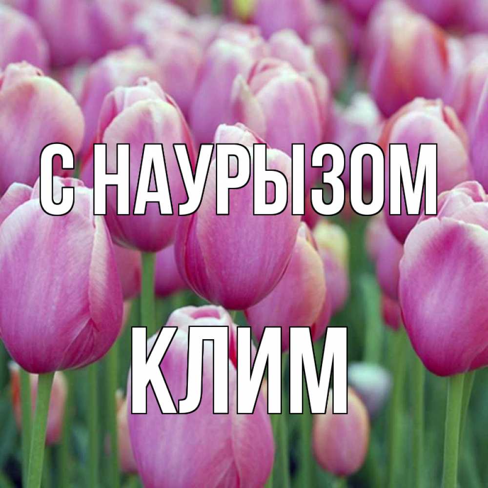 Открытка на каждый день с именем, Клим С наурызом праздник весны наурыз 69 Прикольная открытка с пожеланием онлайн скачать бесплатно 