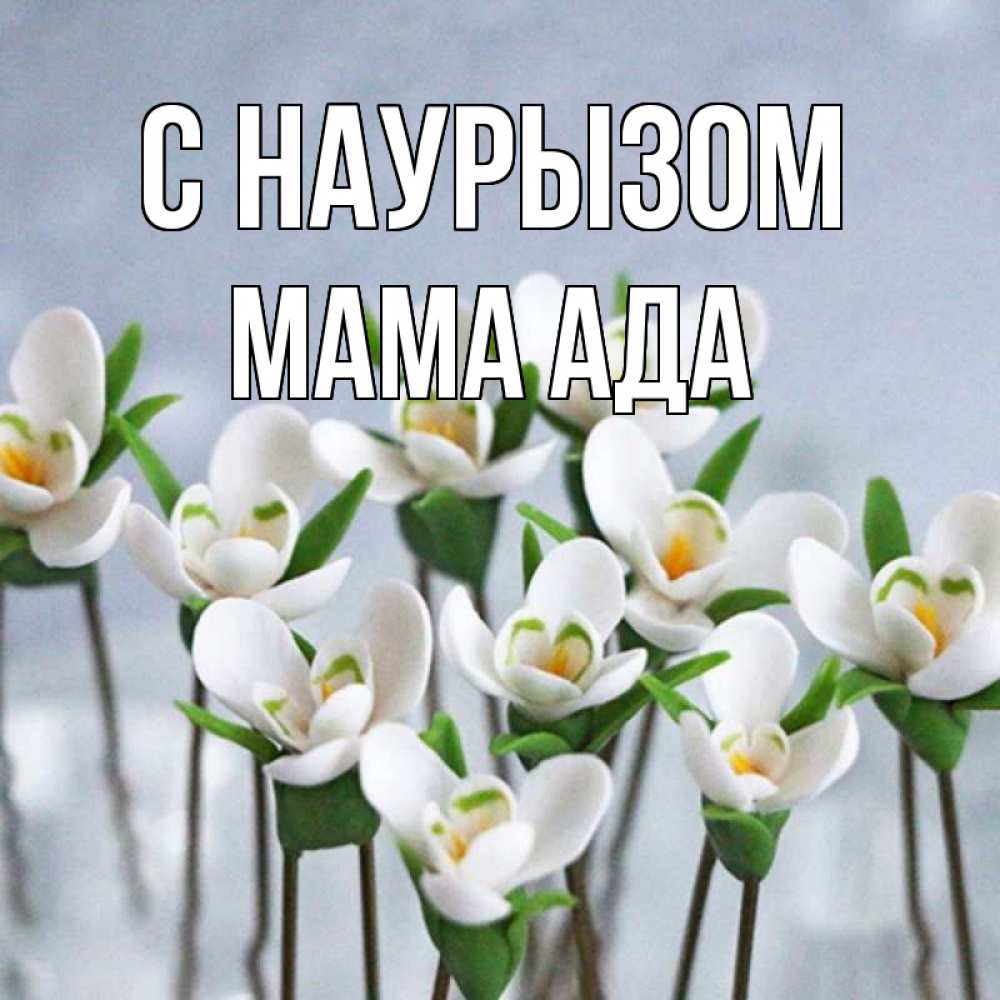 Открытка на каждый день с именем, Мама-Ада С наурызом весенние цветы Прикольная открытка с пожеланием онлайн скачать бесплатно 