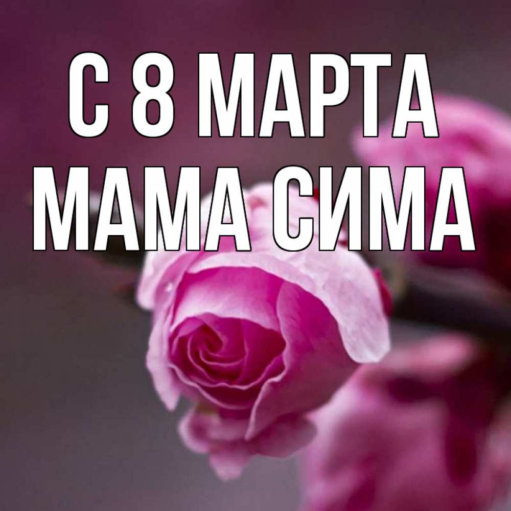 Открытка на каждый день с именем, Мама-Сима С 8 марта весна Прикольная открытка с пожеланием онлайн скачать бесплатно 