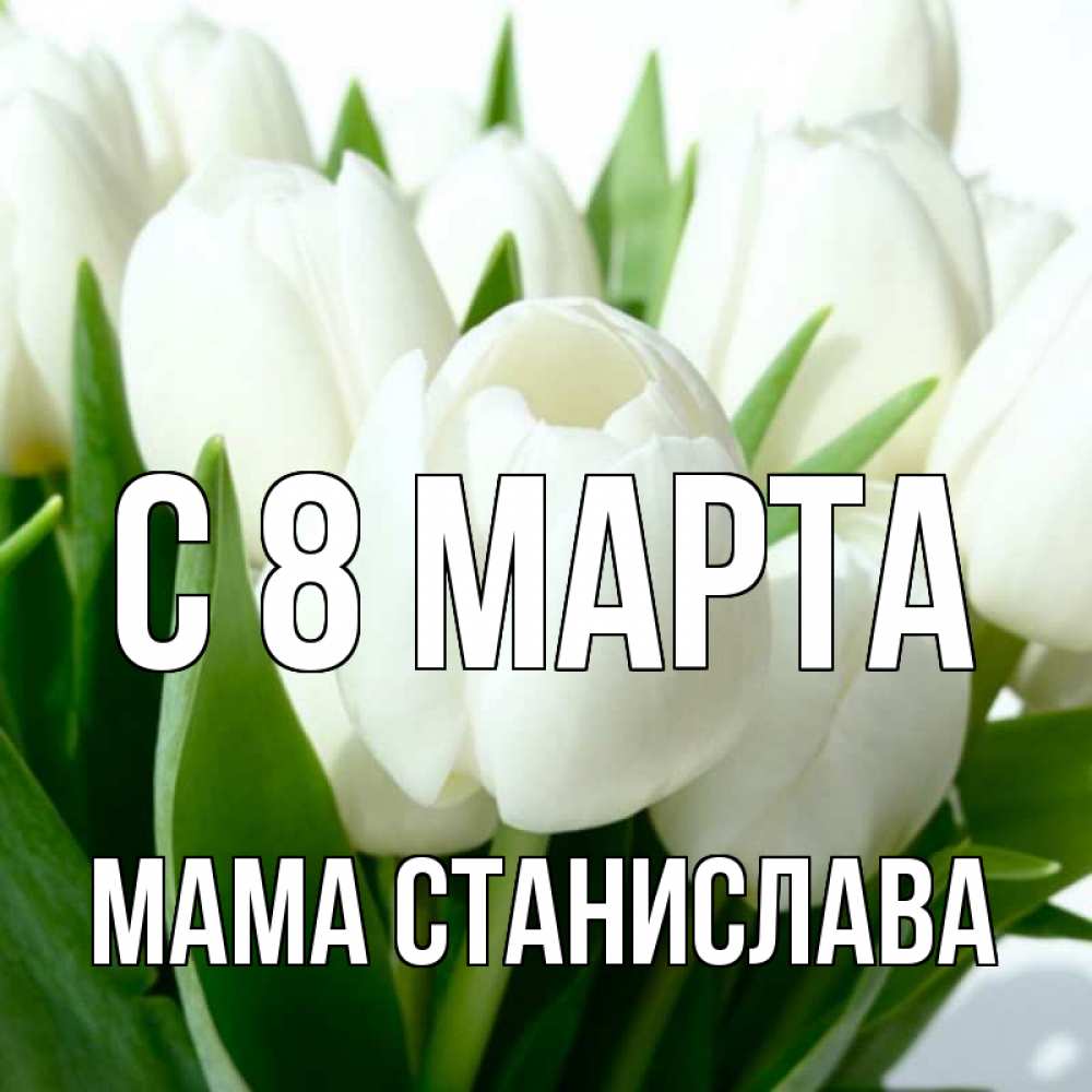 Открытка на каждый день с именем, Мама-Станислава С 8 МАРТА цветы Прикольная открытка с пожеланием онлайн скачать бесплатно 
