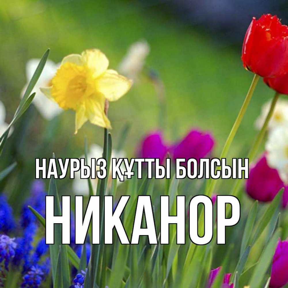 Открытка на каждый день с именем, Никанор Наурыз құтты болсын наурыз  3 открытки Прикольная открытка с пожеланием онлайн скачать бесплатно 