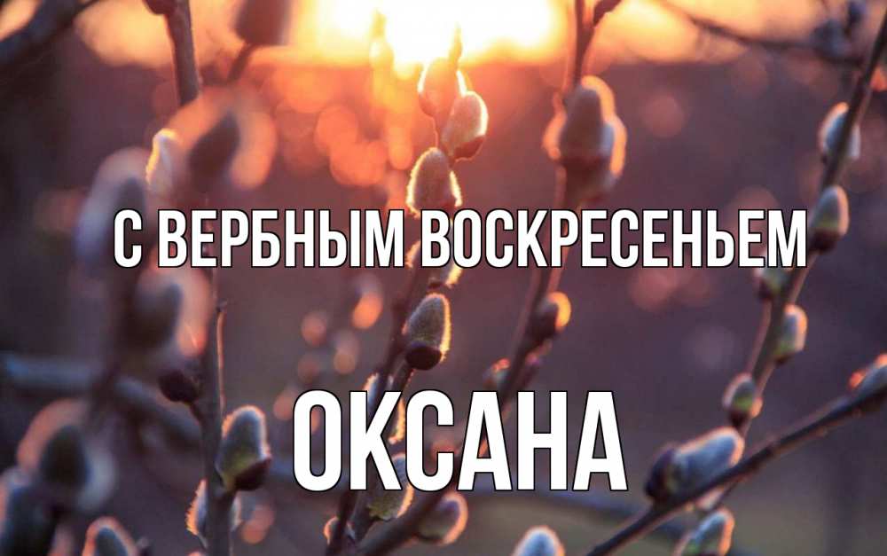 Открытка на каждый день с именем, Оксана С вербным воскресеньем верба Прикольная открытка с пожеланием онлайн скачать бесплатно 