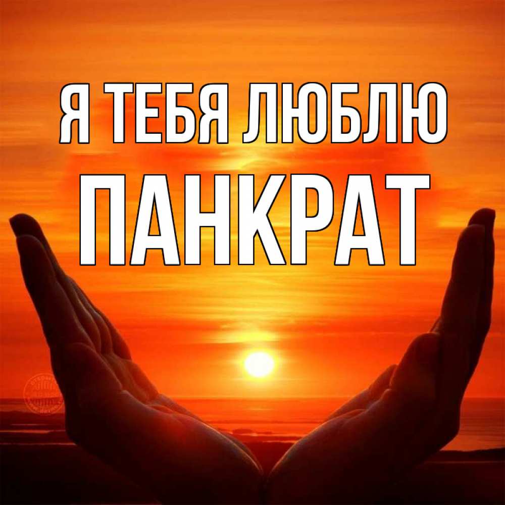 Открытка на каждый день с именем, Панкрат Я тебя люблю в руках Прикольная открытка с пожеланием онлайн скачать бесплатно 