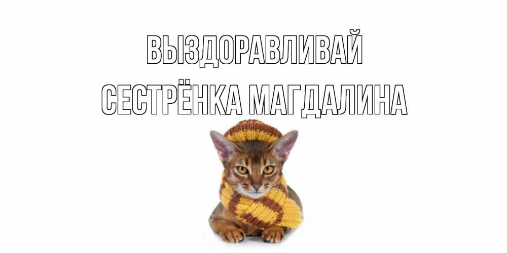 Открытка на каждый день с именем, Сестрёнка-Магдалина Выздоравливай родные не болейте Прикольная открытка с пожеланием онлайн скачать бесплатно 