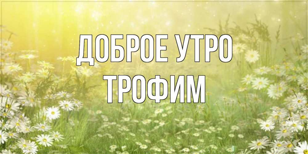 Открытка на каждый день с именем, Трофим Доброе утро доброе утро Прикольная открытка с пожеланием онлайн скачать бесплатно 
