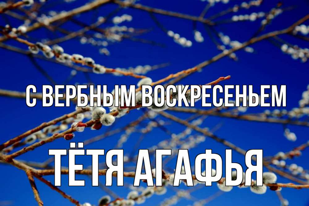Открытка на каждый день с именем, Тётя-Агафья С вербным воскресеньем верба Прикольная открытка с пожеланием онлайн скачать бесплатно 