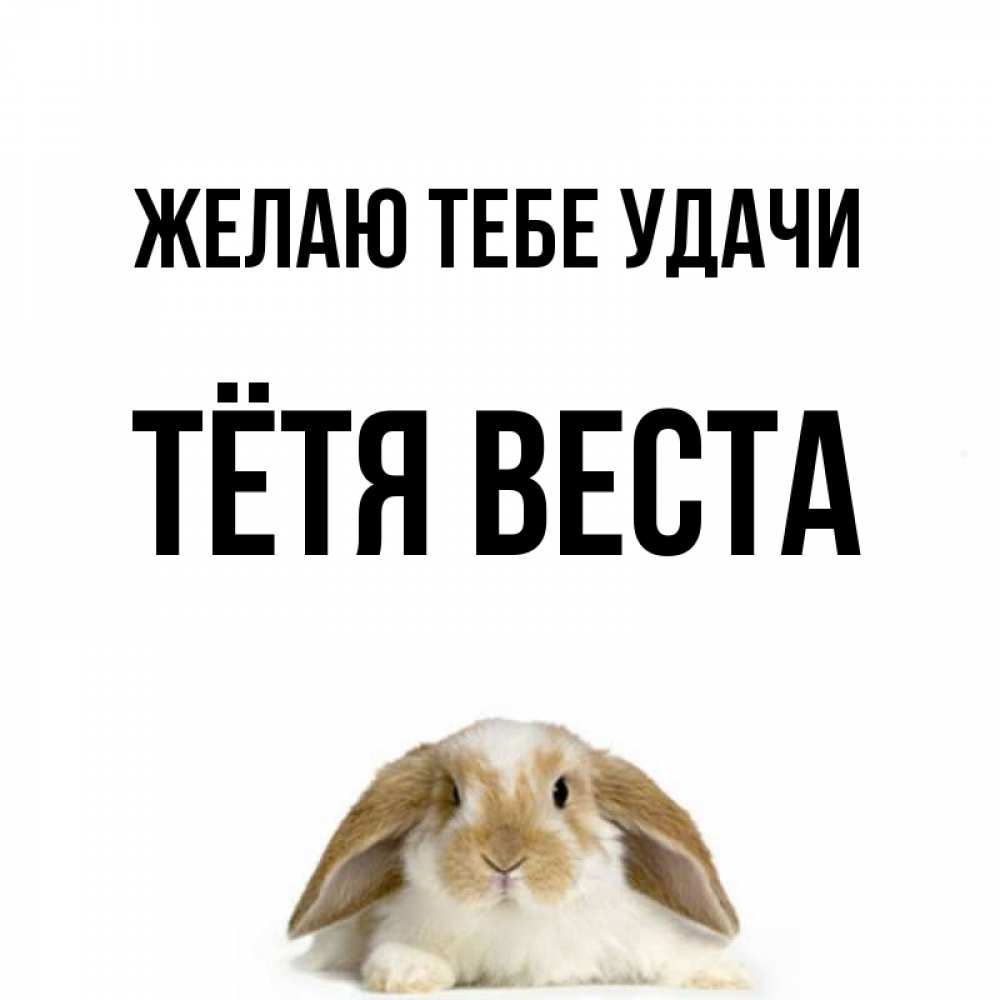 Открытка на каждый день с именем, Тётя-Веста Желаю тебе удачи открытки с произвольным текстом который можно вставить в открытку и создать ее самостоятельно бесплатно онлайн Прикольная открытка с пожеланием онлайн скачать бесплатно 