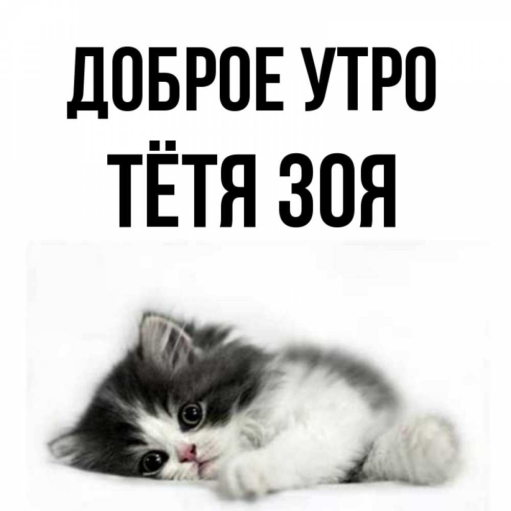 Открытка на каждый день с именем, Тётя-Зоя Доброе утро кот лапки Прикольная открытка с пожеланием онлайн скачать бесплатно 