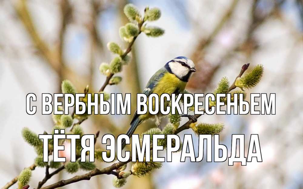 Открытка на каждый день с именем, Тётя-Эсмеральда С вербным воскресеньем верба Прикольная открытка с пожеланием онлайн скачать бесплатно 