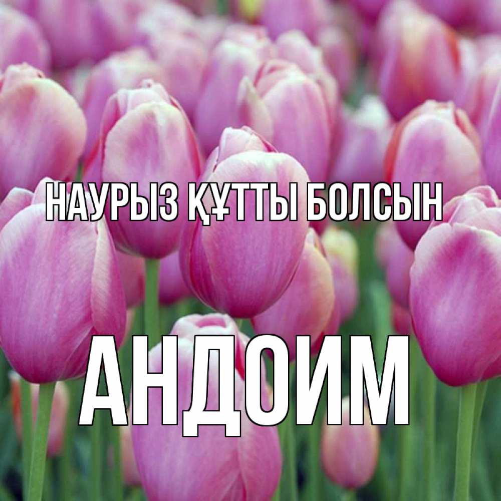 Открытка на каждый день с именем, Андоим Наурыз құтты болсын на наурыз  день 3 Прикольная открытка с пожеланием онлайн скачать бесплатно 