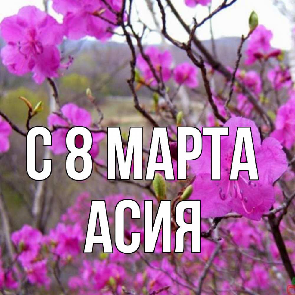 Открытка на каждый день с именем, Асия С 8 МАРТА международный женский день Прикольная открытка с пожеланием онлайн скачать бесплатно 