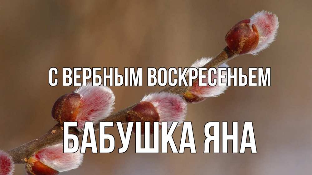 Открытка на каждый день с именем, Бабушка-Яна С вербным воскресеньем верба Прикольная открытка с пожеланием онлайн скачать бесплатно 