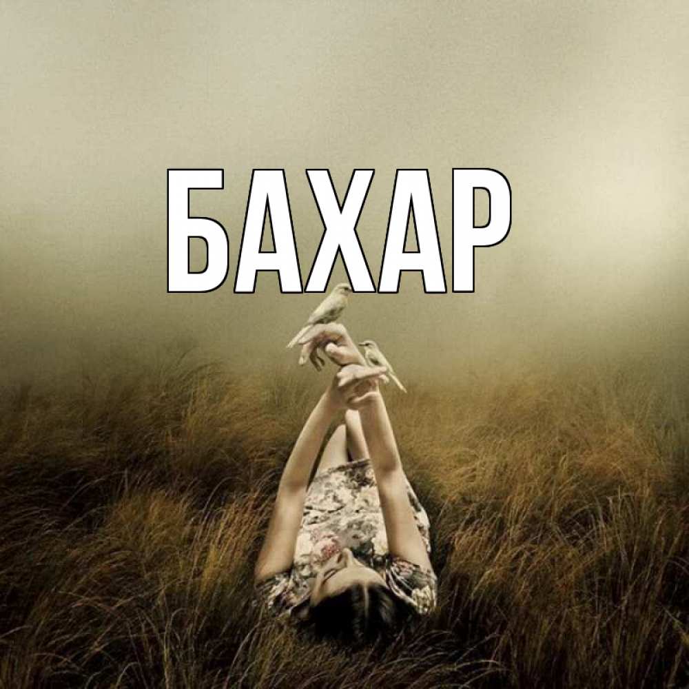 Открытка на каждый день с именем, Бахар Главная девушка с голубями Прикольная открытка с пожеланием онлайн скачать бесплатно 