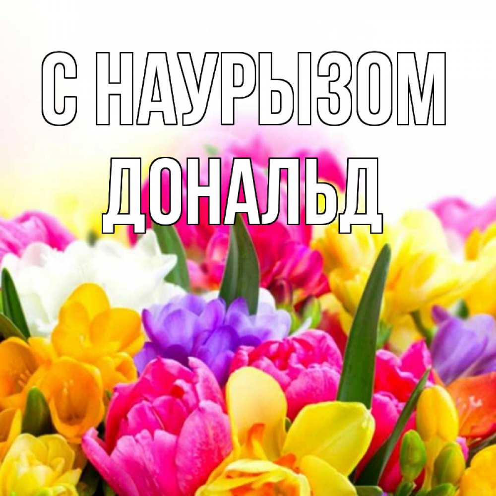 Открытка на каждый день с именем, Дональд С наурызом тюльпаны Прикольная открытка с пожеланием онлайн скачать бесплатно 
