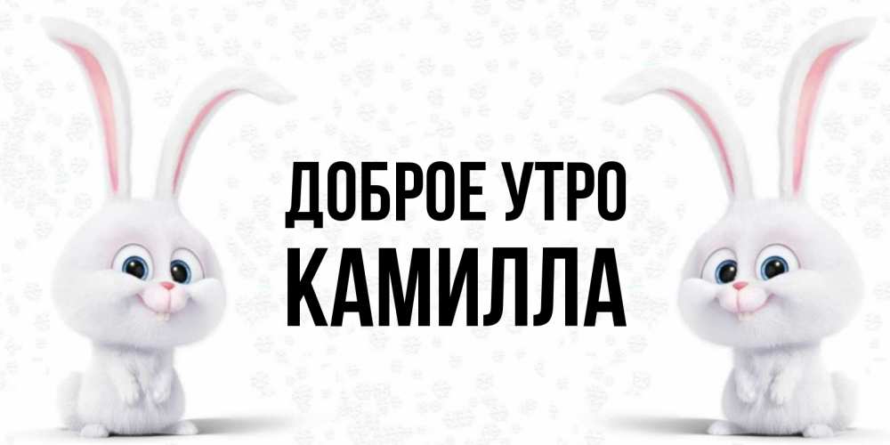 Открытка на каждый день с именем, Камилла Доброе утро кролики с длинными ушками Прикольная открытка с пожеланием онлайн скачать бесплатно 