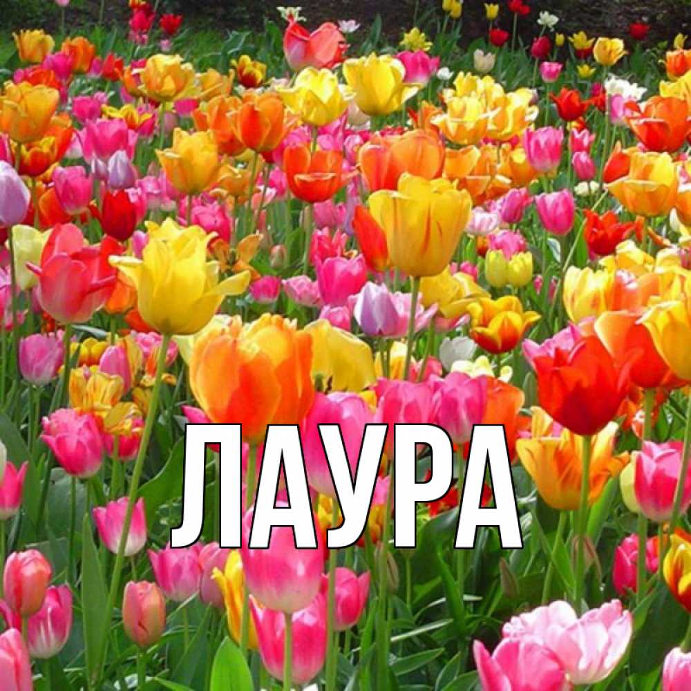 Открытка на каждый день с именем, Лаура Главная на международный женский день Прикольная открытка с пожеланием онлайн скачать бесплатно 