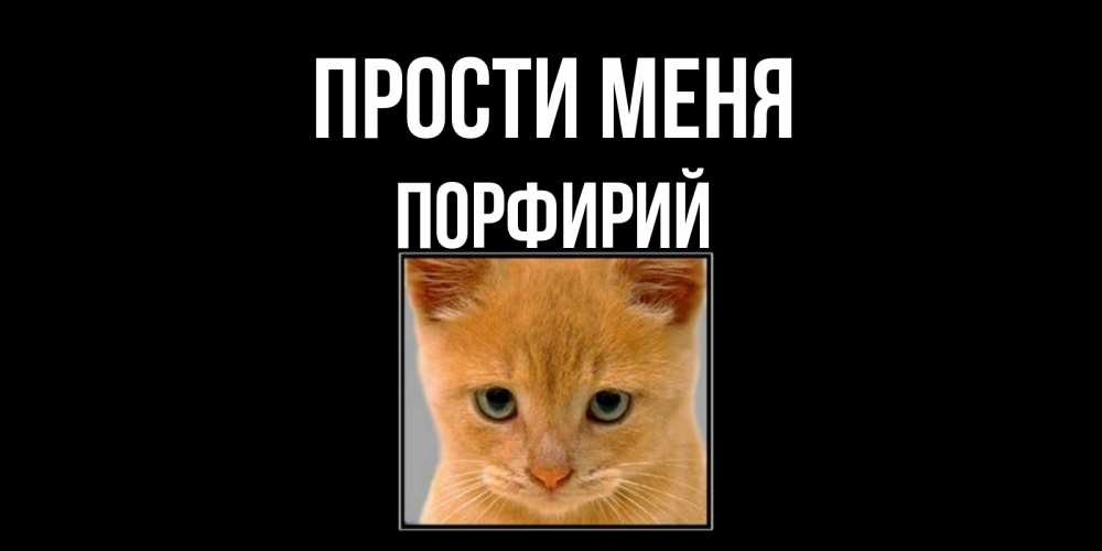 Открытка на каждый день с именем, Порфирий Прости меня рыжий грустный кот просит прощения Прикольная открытка с пожеланием онлайн скачать бесплатно 