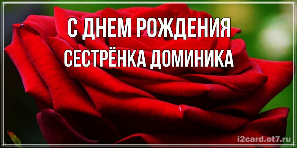Открытка на каждый день с именем, Сестрёнка-Доминика С днем рождения розочка очень красивая Прикольная открытка с пожеланием онлайн скачать бесплатно 