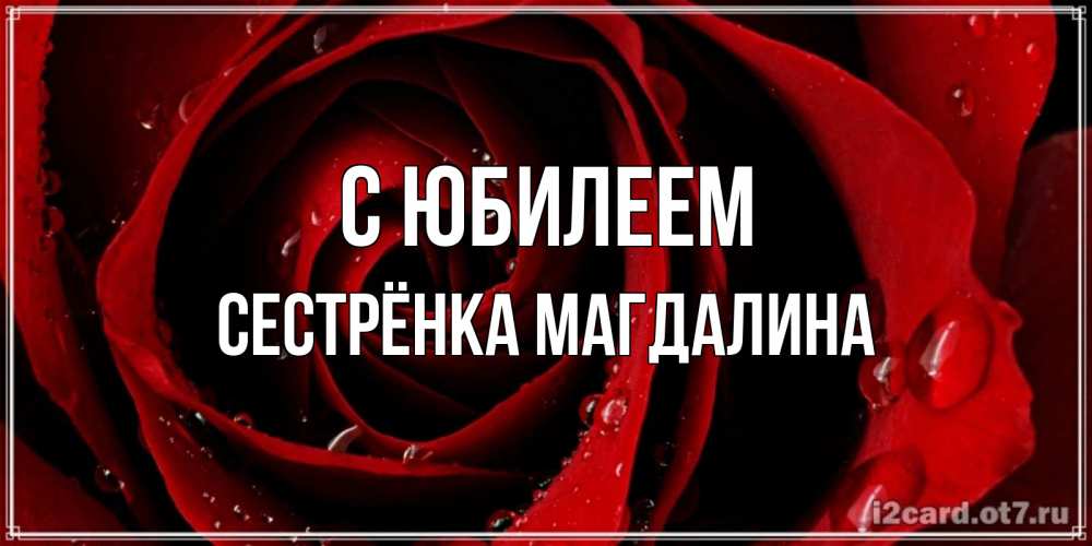 Открытка на каждый день с именем, Сестрёнка-Магдалина С юбилеем крупная бордовая роза Прикольная открытка с пожеланием онлайн скачать бесплатно 