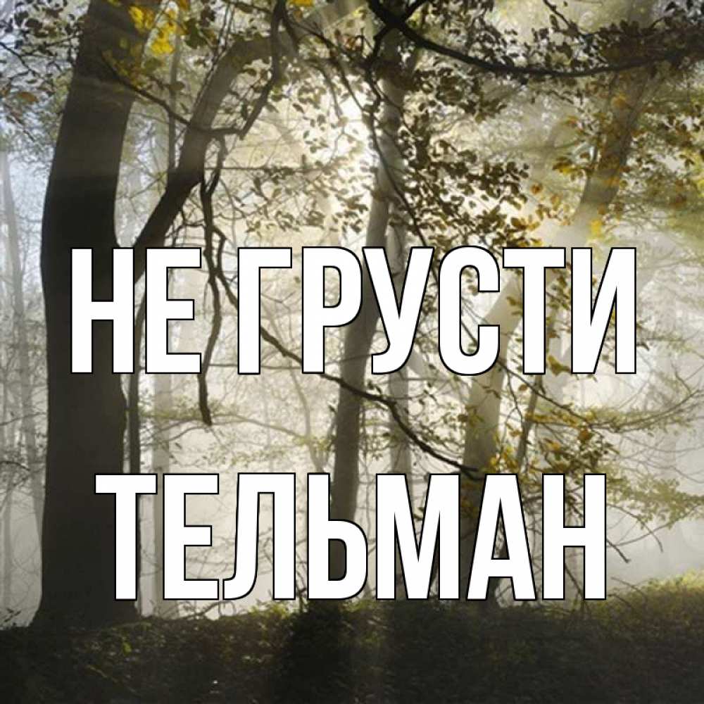 Открытка на каждый день с именем, Тельман Не грусти лес и свет Прикольная открытка с пожеланием онлайн скачать бесплатно 
