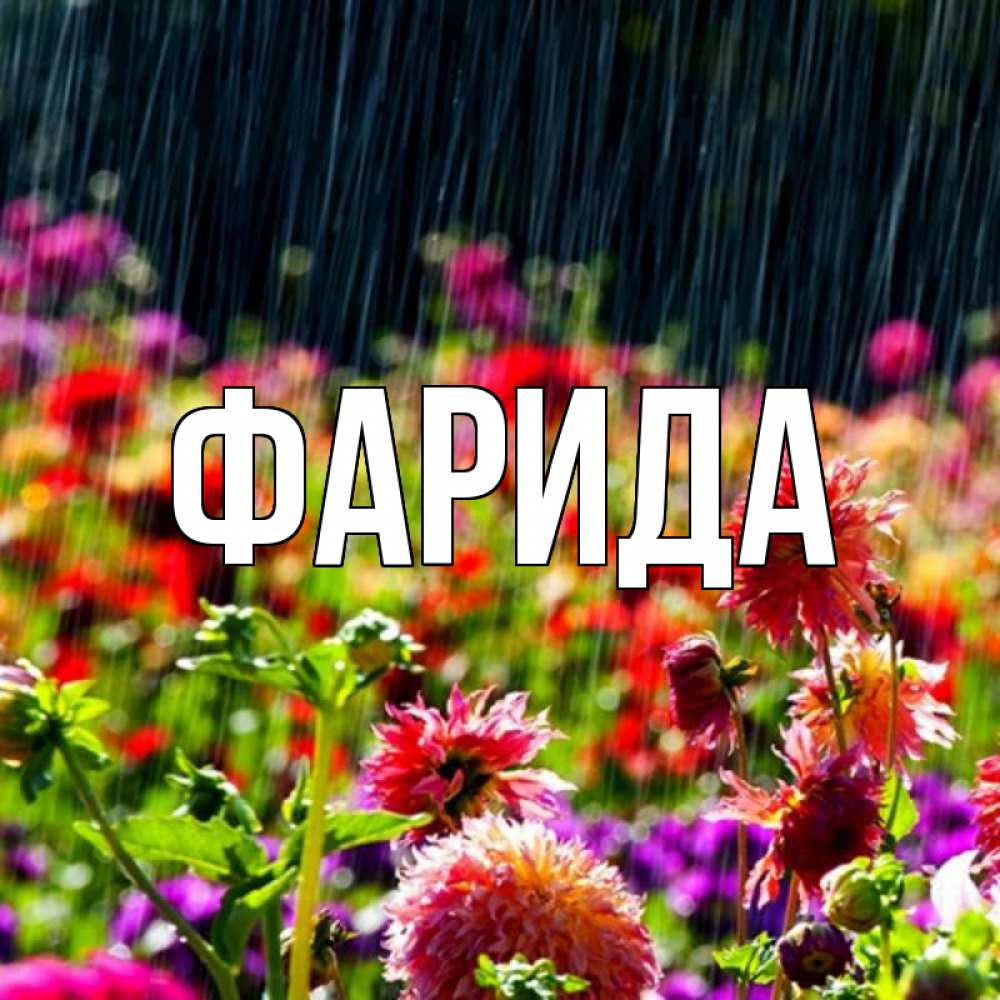 Открытка на каждый день с именем, Фарида Главная цветы под дождиком к международному женскому дню Прикольная открытка с пожеланием онлайн скачать бесплатно 