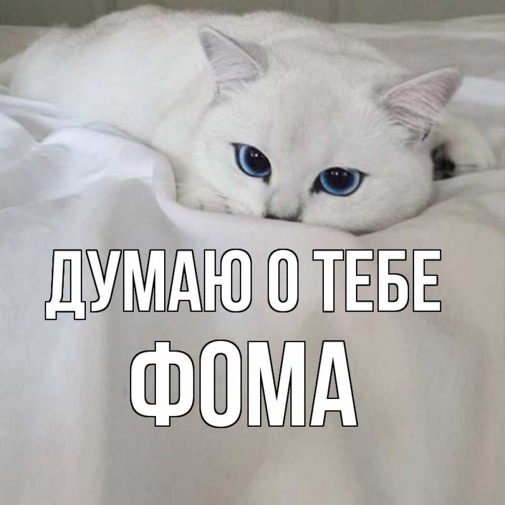 Открытка на каждый день с именем, Фома Думаю о тебе я очень по тебе скучаю и тоскую Прикольная открытка с пожеланием онлайн скачать бесплатно 