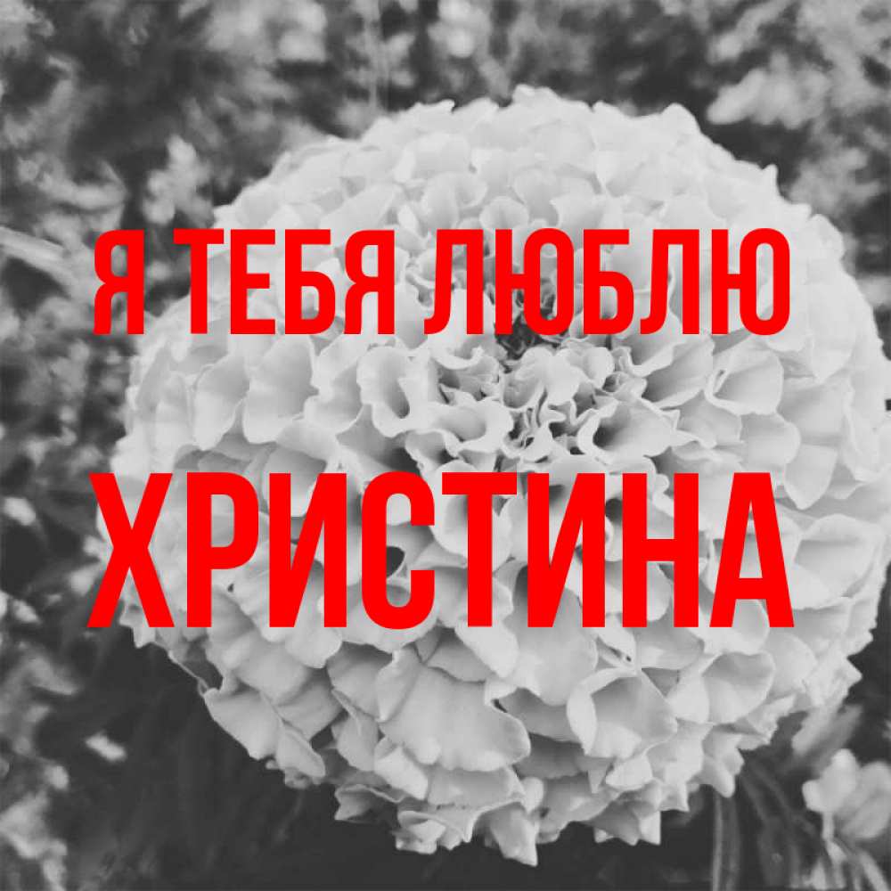 Открытка на каждый день с именем, Христина Я тебя люблю подпись Прикольная открытка с пожеланием онлайн скачать бесплатно 