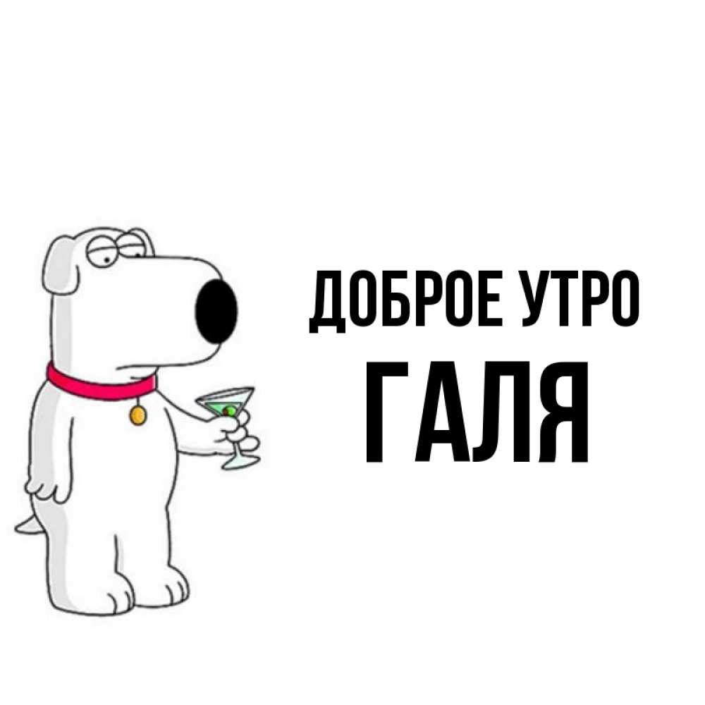 Проект галя хелп