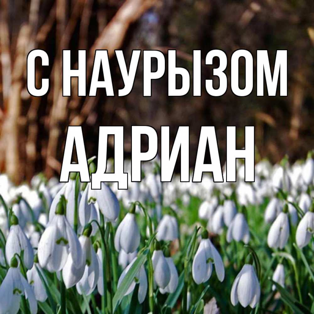 Открытка на каждый день с именем, Адриан С наурызом с подснежниками 1 Прикольная открытка с пожеланием онлайн скачать бесплатно 